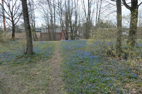 P1047389