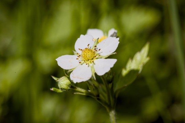 IMG_2389-edit